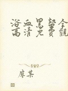 浴血黑帮全4季高清免费观看封面
