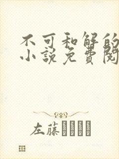 不可和解的时光小说免费阅读