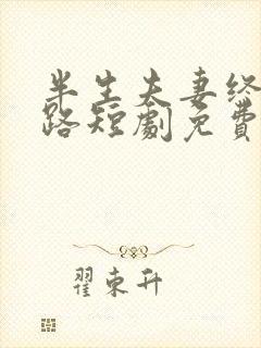 半生夫妻终成陌路短剧免费观看全集封面