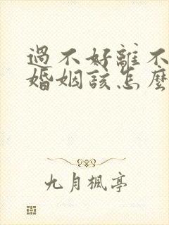 过不好离不了的婚姻该怎么办封面