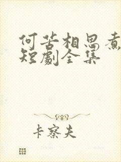 何苦相思煮余年短剧全集