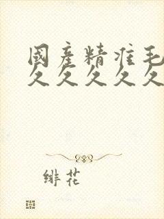 国产精准毛片久久久久久久av