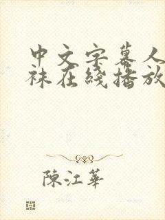 中文字幕人妻丝袜在线播放