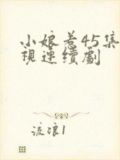 小娘惹45集电视连续剧封面