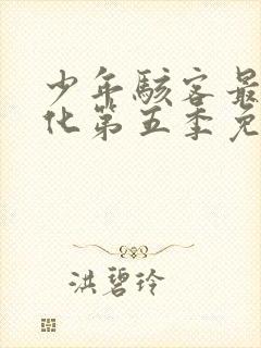 少年骇客最终进化第五季免费观看封面