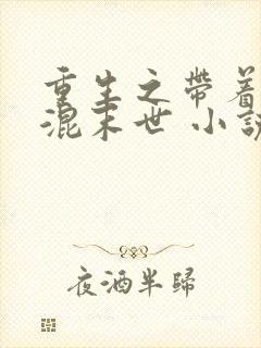 重生之带着空间混末世 小说