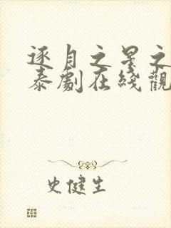 逐月之星之所向泰剧在线观看
