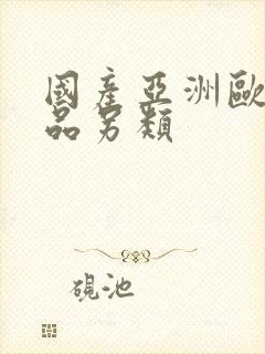 国产亚洲欧美精品另类
