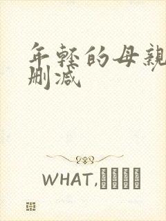 年轻的母亲4未删减