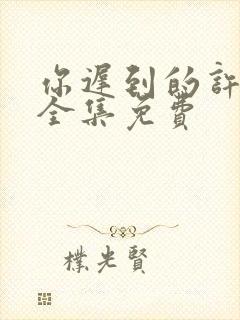 你迟到的许多年全集免费