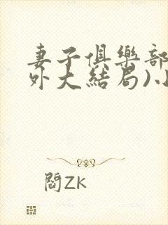 妻子俱乐部(番外大结局)小茹封面