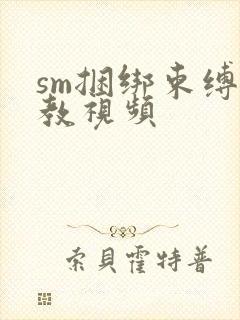 sm捆绑束缚调教视频封面