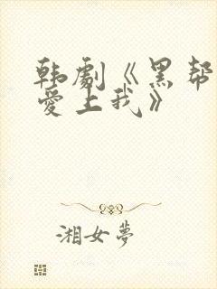 韩剧《黑帮大佬爱上我》