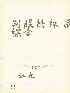 制服丝袜 国产综合