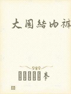 大团结内裤奇缘封面