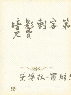 暗影刺客第9季免费