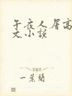 午夜人屠高辣h文小说