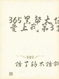 365黑帮大佬爱上我第3季完整版