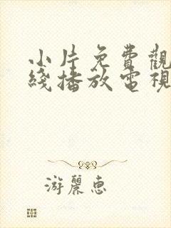 小片免费观看在线播放电视剧