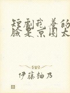 短剧我养的小白脸是京圈太子爷