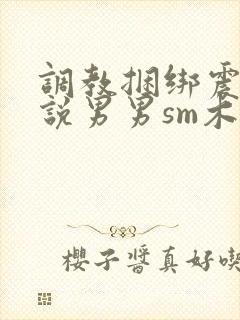 调教捆绑震动小说男男sm木马