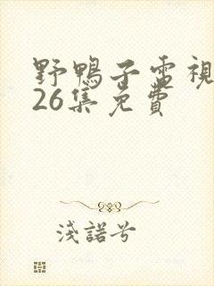 野鸭子电视剧第26集免费