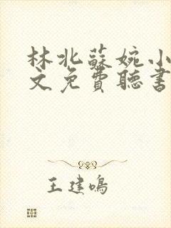 林北苏婉小说全文免费听书封面