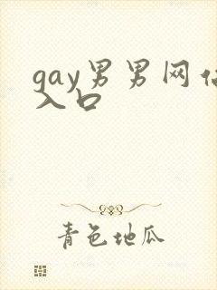 gay男男网站入口