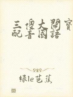 三傻大闹宝莱坞配音国语
