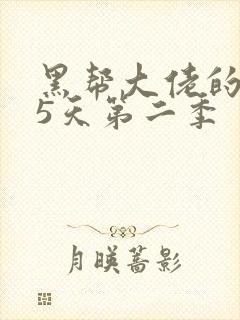 黑帮大佬的365天第二季