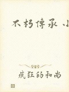 不朽传承 小说