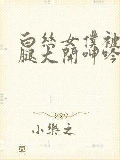 白丝女仆被c双腿大开呻吟