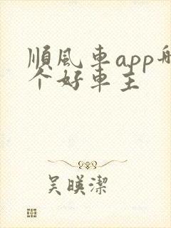 顺风车app哪个好车主
