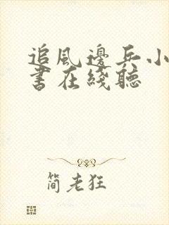 追风边兵小说听书在线听