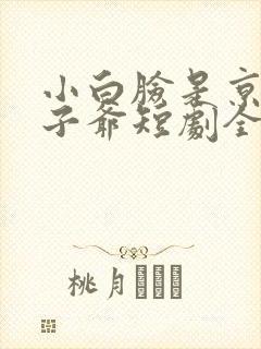 小白脸是京圈太子爷短剧全集观看