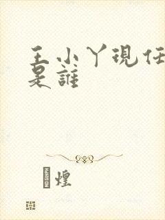 王小丫现任丈夫是谁