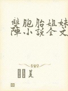 双胞胎姐妹齐上阵小说全文阅读