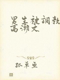 男生被调教,到高潮文封面