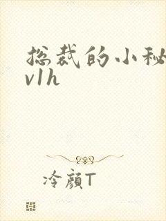 总裁的小秘书1v1h