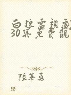 白狼电视剧全集30集免费观看
