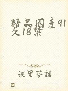 精品国产91久久18禁封面