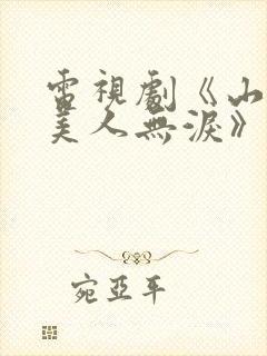 电视剧《山河恋美人无泪》封面