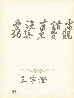 爱没有错电视剧36集免费观看