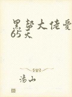 黑帮大佬爱我365天
