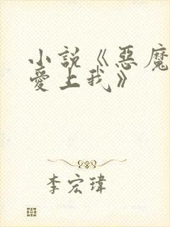 小说《恶魔少爷爱上我》