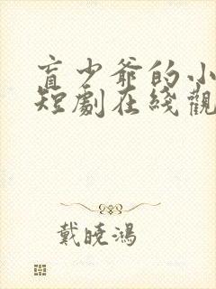 盲少爷的小女仆短剧在线观看高清完整免费