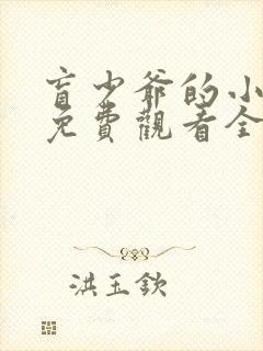 盲少爷的小女仆免费观看全集封面