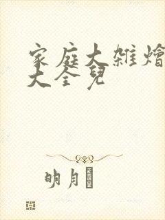 家庭大杂烩小说大全儿