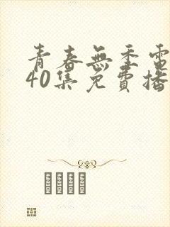 青春无季电视剧40集免费播放