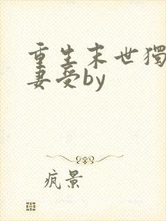 重生末世独宠男妻受by